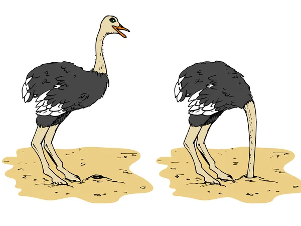 Cartoon ostrich with head below sand — Stock Vector