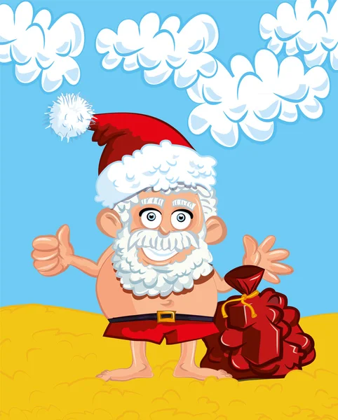 Cartoon-Weihnachtsmann mit weißem Bart — Stockvektor
