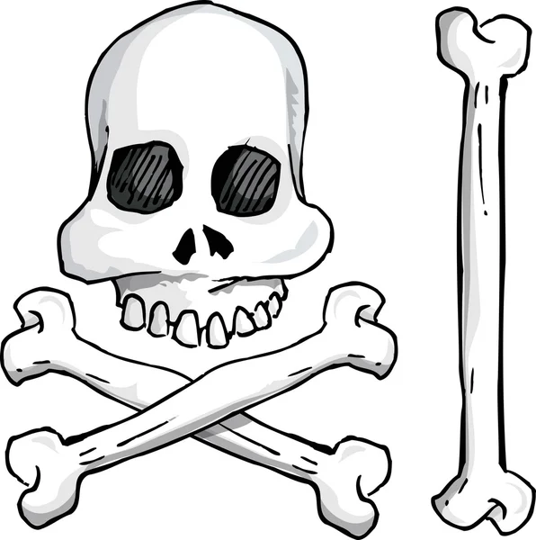 Illustration du crâne et des os croisés — Image vectorielle