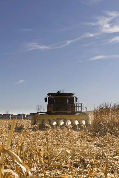 Corn Harvesting — Stock Photo, Image