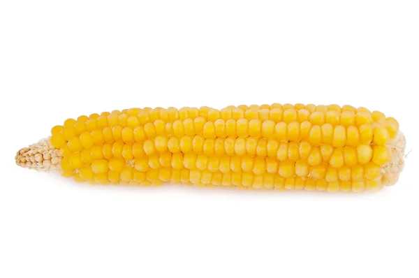 stock image Corn