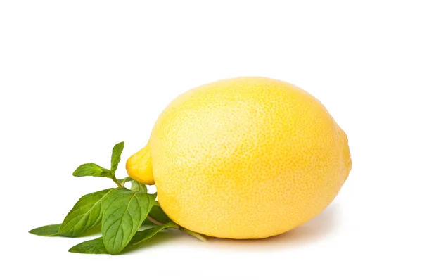 Limón y hoja — Foto de Stock