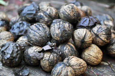 Heap of walnuts clipart