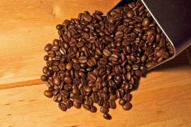 iyi arabica kahve çekirdekleri