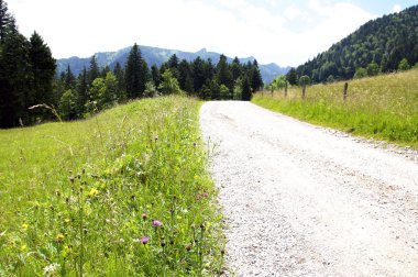 Bavyera Alpleri'nde yolu