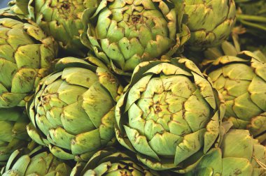 Artichokes clipart