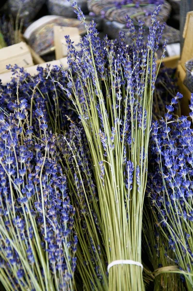 stock image Bouquets of Lavender