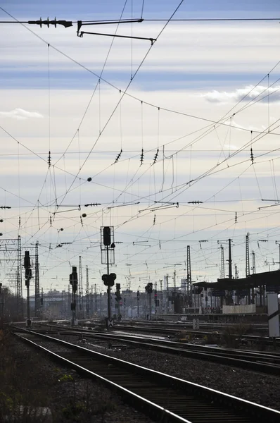 Stock image Railroad Tracks