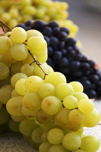 Grapes of Wine — Stock Photo, Image