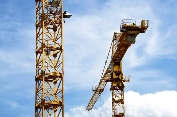 stock image Two Cranes