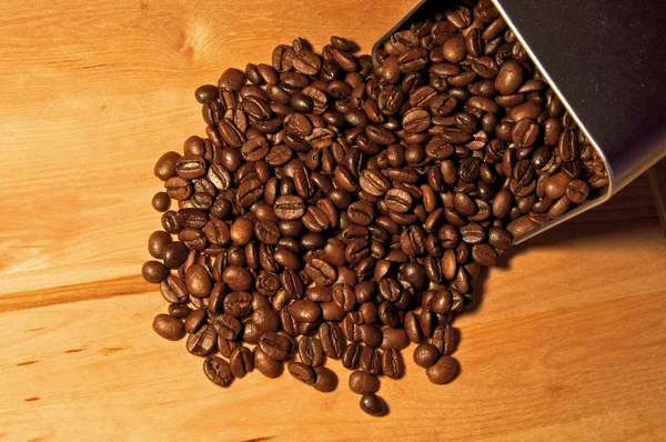 Feine Arabica-Kaffeebohnen — Stockfoto