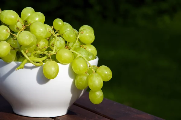 Vindruvor i en skål — Stockfoto