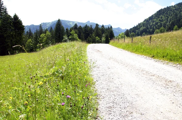 巴伐利亚阿尔卑斯山中的路径 — 图库照片