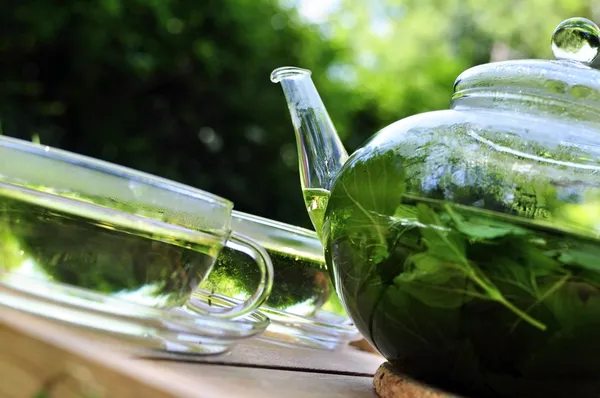 Meduňka lékařská čaj v zahradě — Stock fotografie