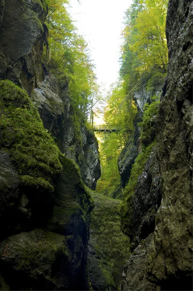 Bridge over a deep ravine — Stock Photo, Image