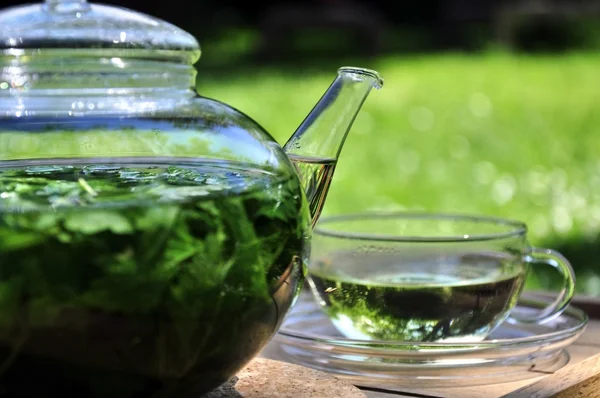 Чай в саду — стоковое фото