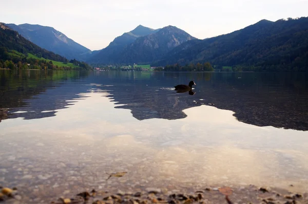 Evening on Lake Schliersee — 图库照片