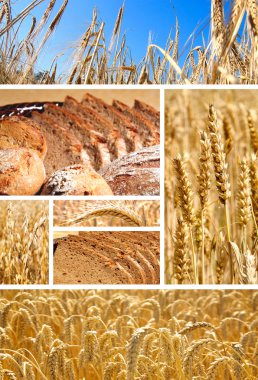 Bread and Cereals clipart