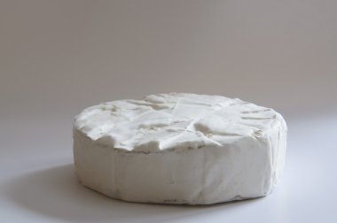 Camembert peyniri