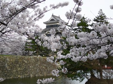 Matsumoto Castle clipart