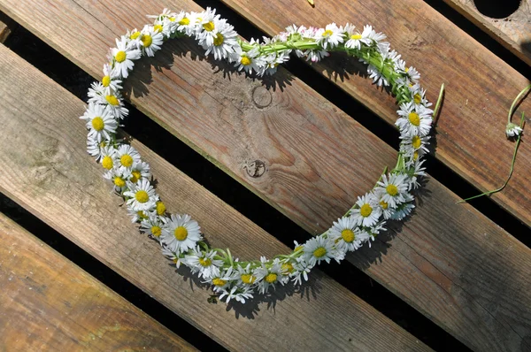 Symbole coeur composé de marguerites — Photo