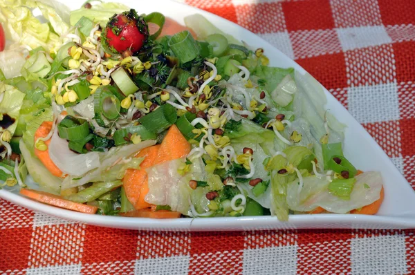 Zöld saláta, saláta, hajtások szójabab és a zöldség — Stock Fotó