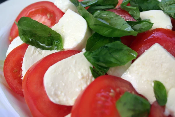 stock image Mozzarella, Tomatoes and Basil