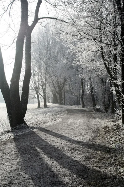 在冬天的行人路 — 图库照片