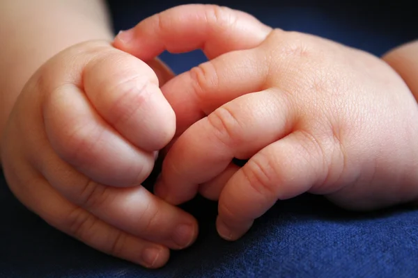 stock image Baby's Hands