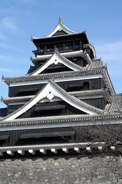 Japanese Castle — Stock Photo, Image