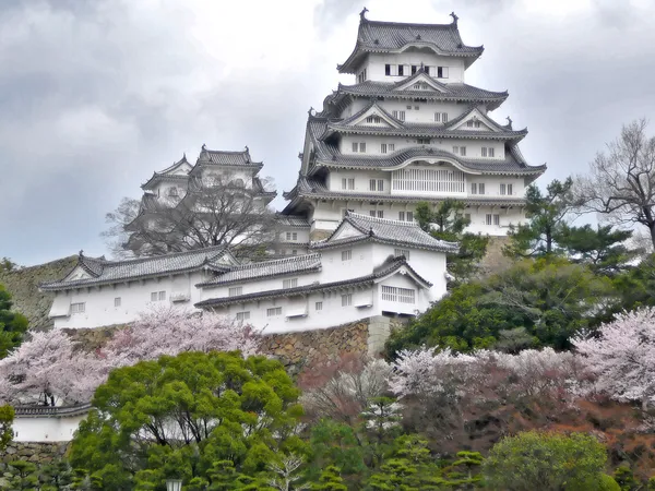 Sakura sırasında Himeji Kalesi — Stok fotoğraf