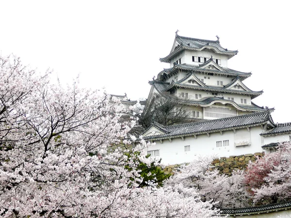 Japansk slott under körsbärsblommor — Stockfoto