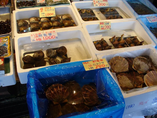 Deniz kabukları ile Japon Balık pazarı — Stok fotoğraf