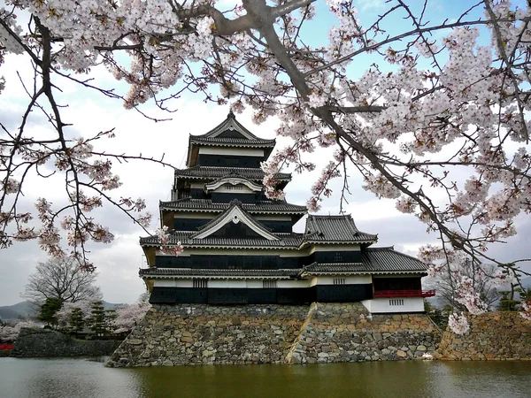 松本城堡与樱花 — 图库照片
