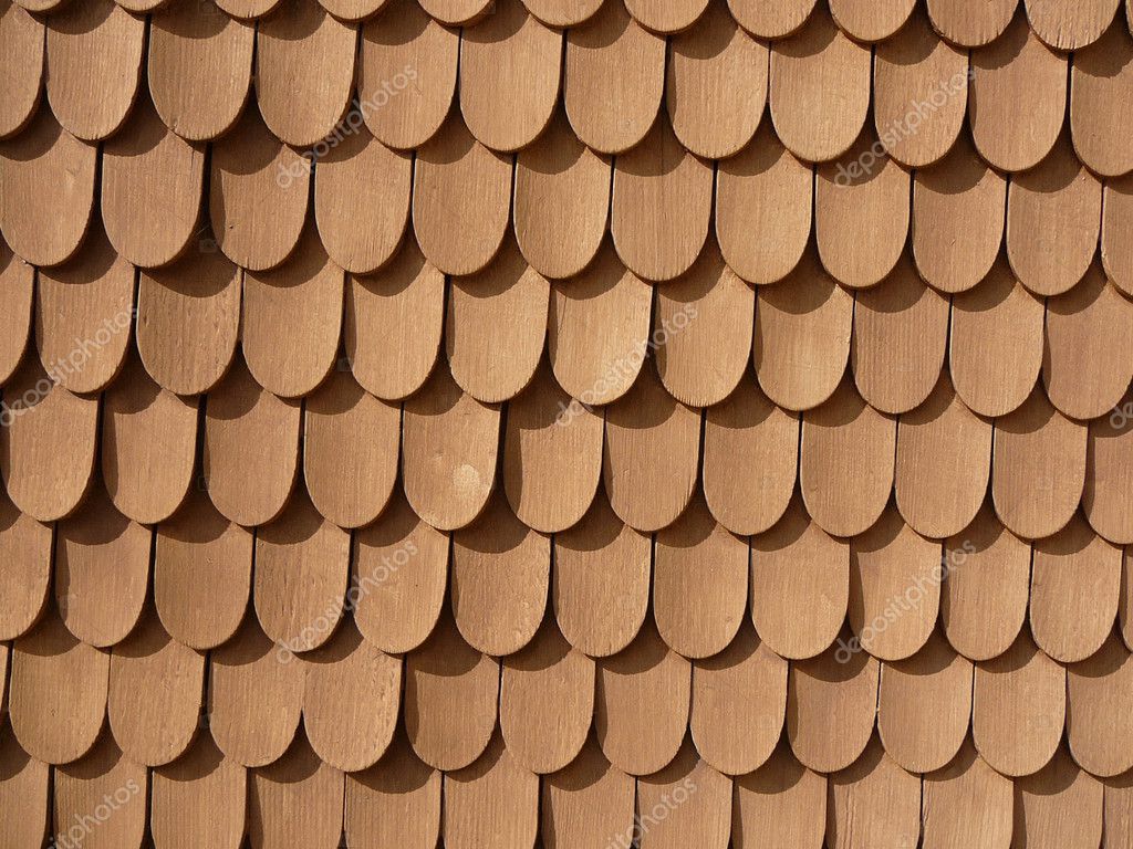 Diseño de la escala de peces en la pared 2024