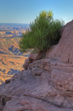 Canyonlands