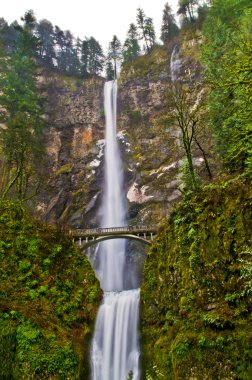 Multnomah Falls