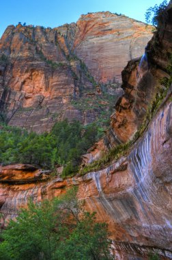 zion canyon ağlayan kaya