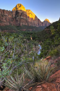 Zion Canyon