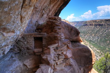 Mesa Verde