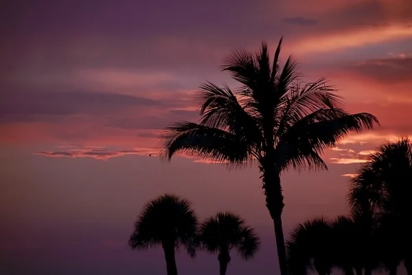 Tropik gün batımı — Stok fotoğraf