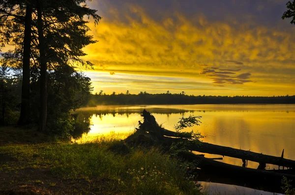 Lago Canoa Michigan — Fotografia de Stock