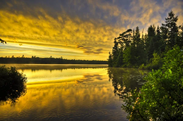 Danau Canoe Michigan — Stok Foto