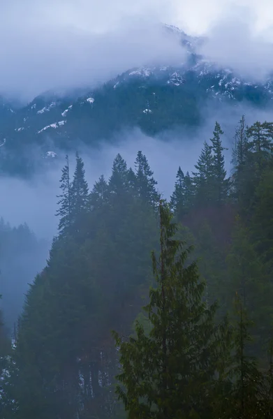 Köd a hegyekben — Stock Fotó