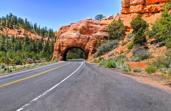 Bryce Tunnel — Stock Photo, Image