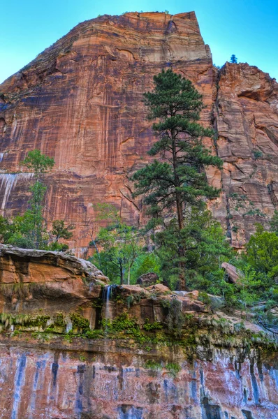 Zion Waterfall — Stock Photo, Image