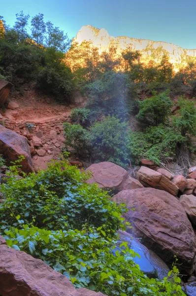 Weinender Felsen in Zion Canyon — Stockfoto