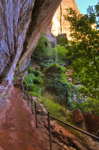 Pleurer le rocher dans le canyon de Sion — Photo