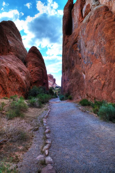 stock image Arches National