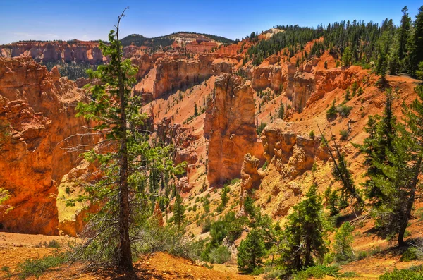 Stock image Hoodoos